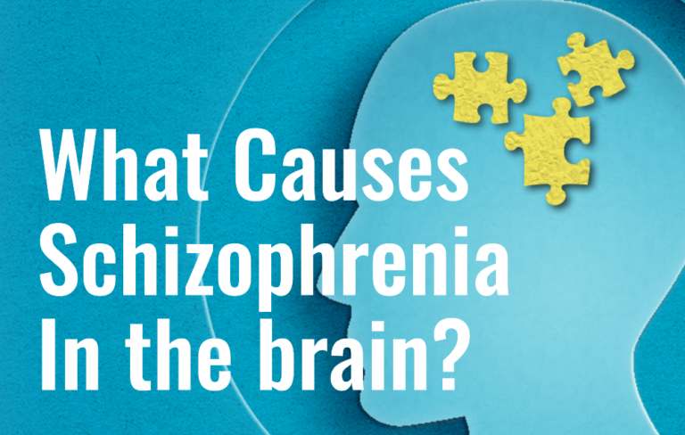 What Causes Schizophrenia In the brain?